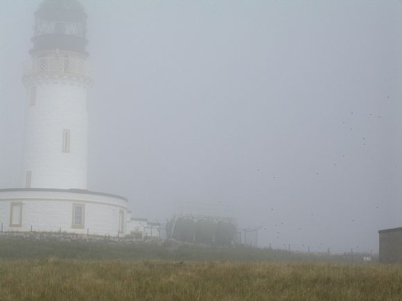 Images of Sutherland