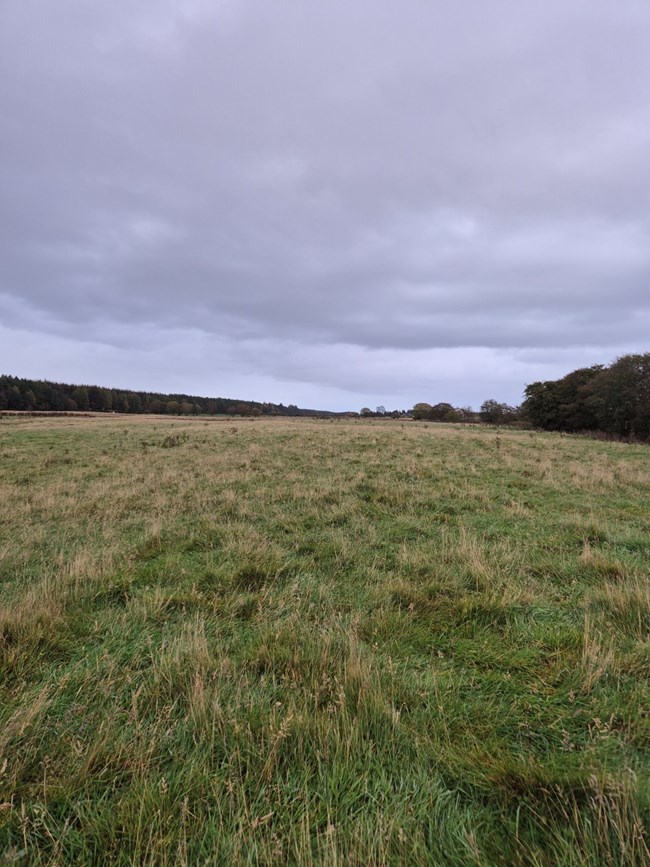 Little Muiryden, Muiryden, Fortrose IV10 8SW